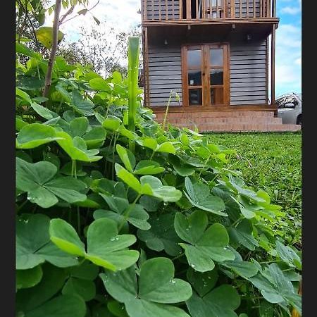 Tinyhousegarden - Silver Coin Guest House Praia Grande  Exterior photo