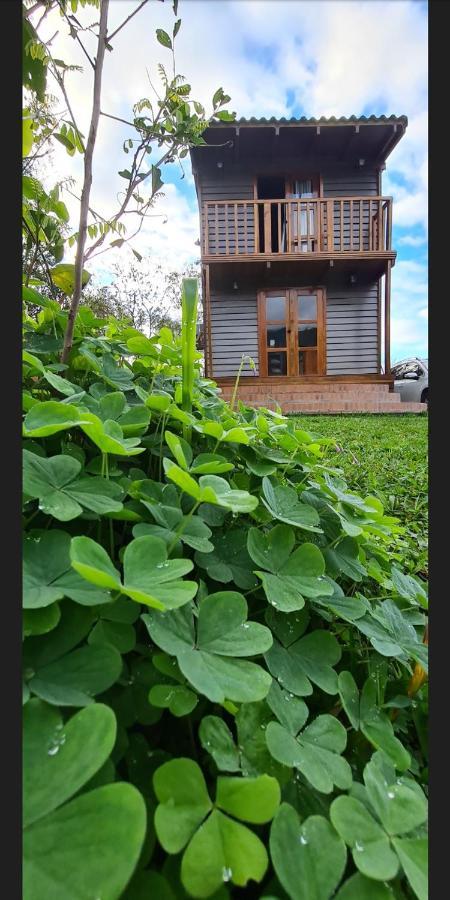 Tinyhousegarden - Silver Coin Guest House Praia Grande  Exterior photo